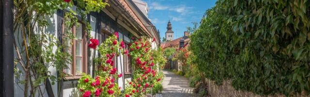Üle mere hõrgutised Gotlandi saarelt