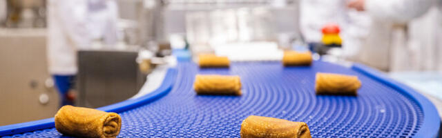 Teadlased: loomse toidu väärindamine ei tohi trendituules kaduda