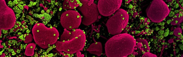 Teadlased hoiatavad: vaktsiinide tulek paneb koroonaviiruse surve alla luua põgenevaid mutante