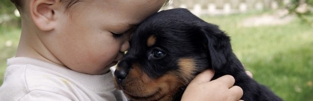 Peres koera või kassi pidamine aitab kaitsta last allergiate eest