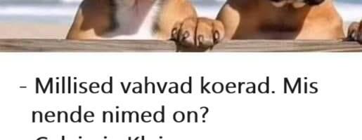 Bokserid Calvin ja Klein