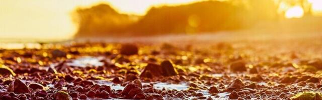 Kliimamuutus avaldab Läänemere randadele erisugust mõju