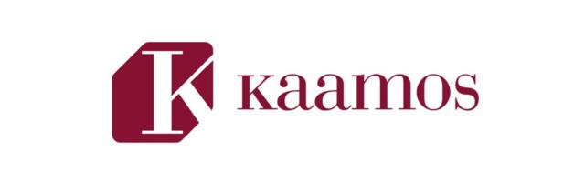 Kaamos Kinnisvara otsib tegevjuhti/juhatuse esimeest