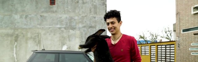 Reporter: Hiiglaslikud küülikud! Meetripikkused ja ligi 10 kilogrammi