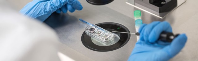 Eestis tehti 2018. aastal 2722 embrüo siirdamist