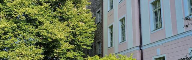 XIII noorte laulu- ja tantsupeo pidulikku liputseremooniat assisteerisid kaks Võru maakonna tantsijat