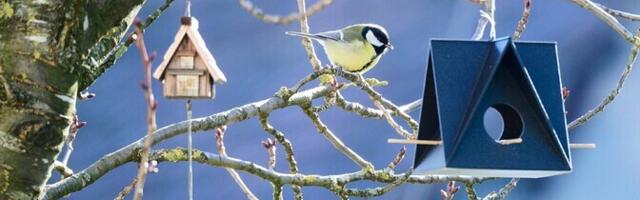 Mitmekesine külamaastik on linnule talvisest lisatoidust olulisem