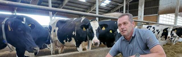 Taani hakkab põllumeestelt lehmade ja sigade pealt süsinikumaksu koguma