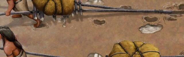 Teadlased avastasid varaseimad tõendid iidsest transpordivahendist