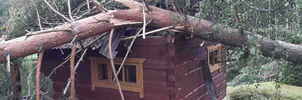 Kindlustusstatistika näitab: tormikahjude keskmine kahjusumma on Eestis ligi 1400 eurot