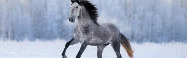 14 aastat kestnud raske periood on läbi saamas: neli tähemärki tunnevad jaanuari lõpus kergendust