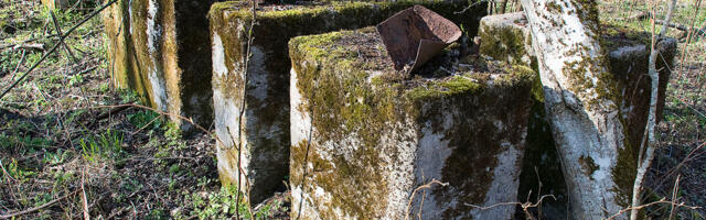 Ristis suuskadest ja tänumeelest