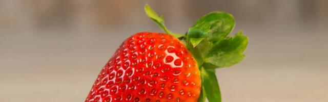 Aeg esitada kandidaate regionaalmaasika konkursile