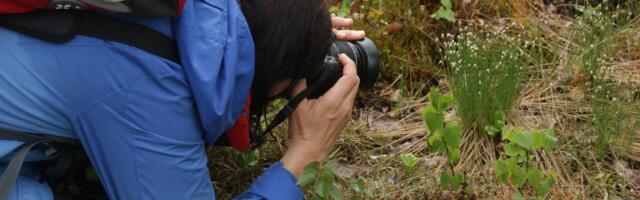 Loodusfestival kutsub loodusvaatluste maratoni aladest teada andma