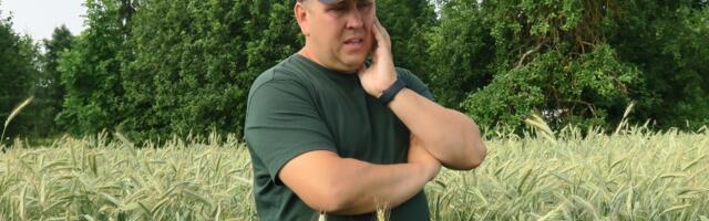 VILJELUSVÕISTLUS 2025 | Pilt põldudel on kirjum kui kunagi varem