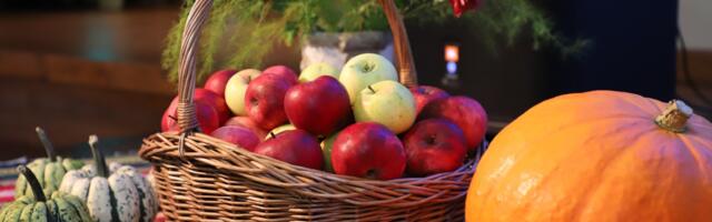 Paides peetakse täna oktoobrilaata