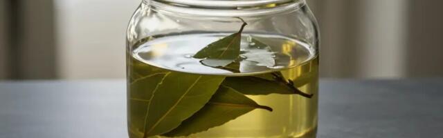Leota loorberilehti äädikas – vanaemade kuldaväärt nipp, mis muudab tavalise äädika erakordseks