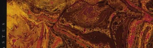 Baumani tumefilosoofiast mureni Eesti tõlkekirjanduse pärast