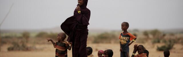 В этом году международной защиты в Латвии чаще просили граждане Сомали