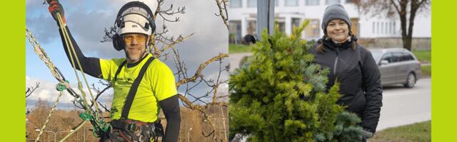 Saates Valgalase pooltund räägiti Valga valla kampaaniast "Istuta puu!" ning kuidas valida endale koju õige istik ja millest lähtuda puude hooldamisel