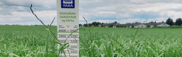 Siloseire: kõrge toiteväärtusega silo varumise aeg hakkab mööduma