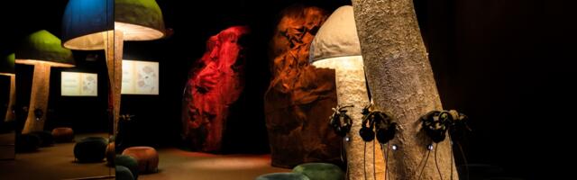 Soomes avatakse Eesti Rahva Muuseumi muinasjutunäitus "Elas kord..."