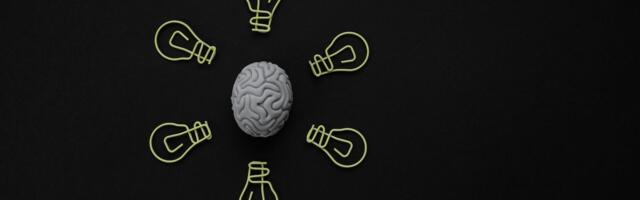 Selgunud on Elva valla kaasava eelarve rahvahääletuse tulemused