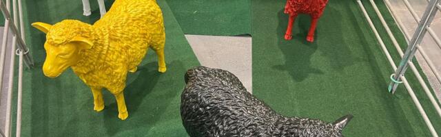 MESSIBLOGI | Suu- ja sõrataud on jätnud oma jälje ka Grüne Wochele