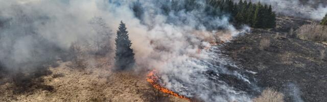 Kevad kutsub aeda koristama! Kuid enne lõkke süütamist veendu, et see on ohutu