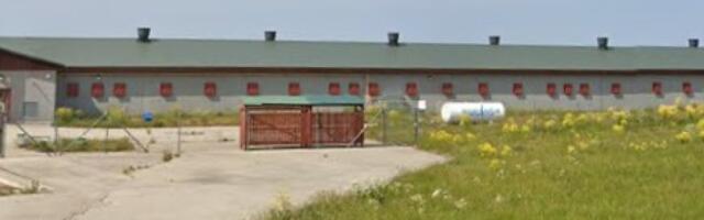 Mis toimub aastaid tühjalt seisnud Anija kanalas?