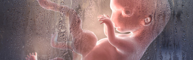 Juhtkiri: loomulikult tuleb abort kui süütu inimese tapmine keelata