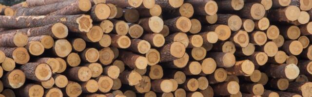 Konkurentsiamet lubab Metsäl Eesti puiduäri Combiwoodile müüa