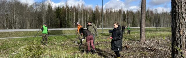 Fotod ⟩ RMK ja Võru vallavalitsuse töötajad panid Kirumpääl ühiselt metsa kasvama