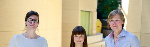 Kutsega koolitaja loob süsteemse ja tulemusliku arengutee