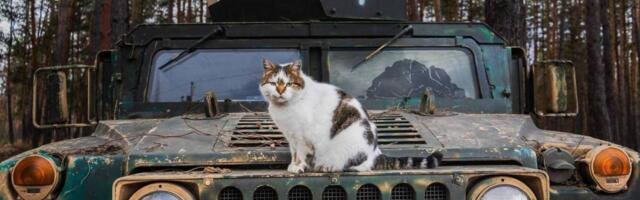 Teet Kalmus: USA survestab Ukrainat, Venemaale tehakse järeleandmisi