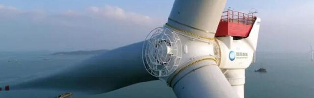 Uuringud näitavad tuulikute kahjulikku mõju inimestele ja loomadele