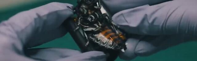 DELFI VOOG | Saksamaa arendab NATO-le militaarputukaid