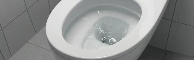 Hüvasti WC-poti katlakivirõngas: lihtne nipp, mis eemaldab selle kiiresti ja loomulikult