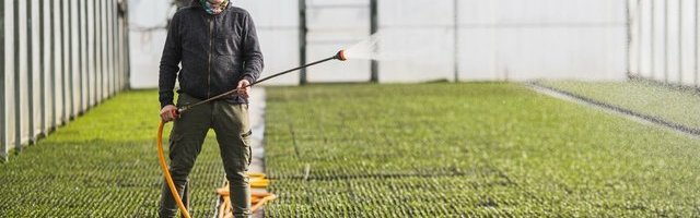 Talupidajal on töölist vaja kohe, kuid valitsus ukrainlast ei anna ja eestlast ei ole
