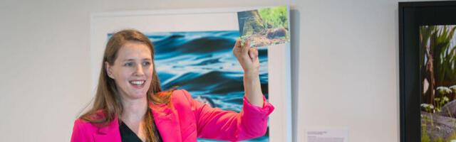 HIIUMAAGIA | Viive-Kai Rebane võttis näitusega viis aastat kokku