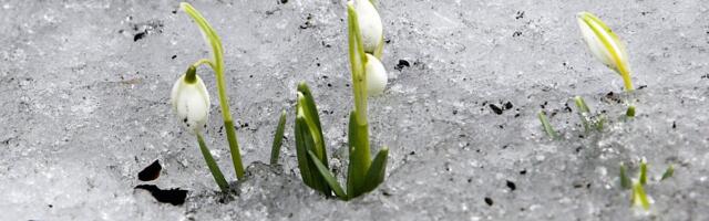 ILMATEADE | Pool Eestit saab taas kaela lund ja lörtsi