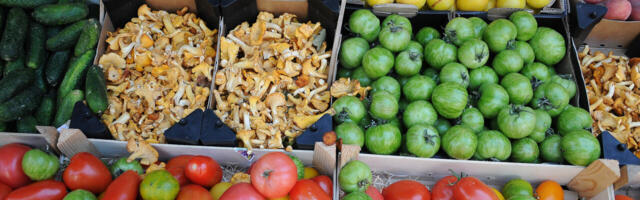 TOIDU HIND: 25 aasta pärast maksab hapukoor 2000.- eurot