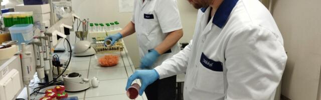 Tartumaa toidupiirkond tutvustab toiduinnovatsiooni kogemuslugusid