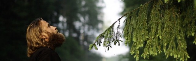 Igor Skalkin: Kõige suurem Eesti metsa probleem on inimene!