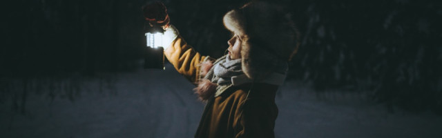 Fotolugu: muinasjutt kodumetsas