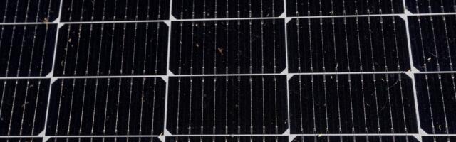 Maris Tõnuri: päikeseparkide rajamine ei kahjusta Eesti toidujulgeolekut