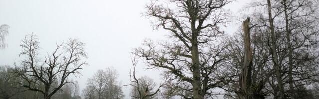 Neil kolmel tähemärgil tuleb keeruline novembrikuu