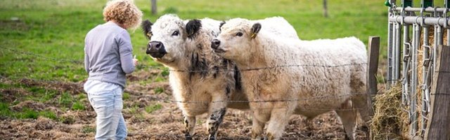 Võõrtöölised said õiguse jätkata lühiajalist töötamist põllumajanduses