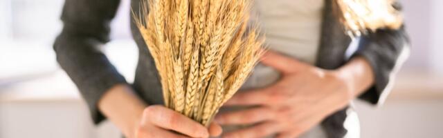 Kaitsmisele tuleb väitekiri tsöliaakia tekkest kahes erineva keskkonna-taustaga naaberiigis