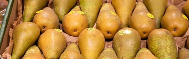 Hinnatõusu vedasid toit ja automaks